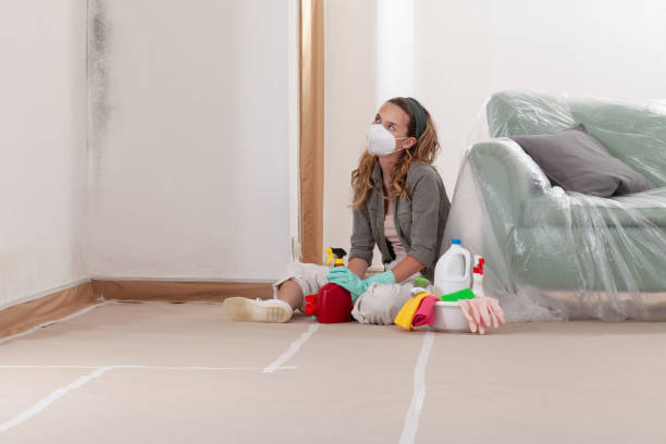 Reliable Bathroom Mold Removal contractor in Hillsborough, NJ by WQB Mold Removal